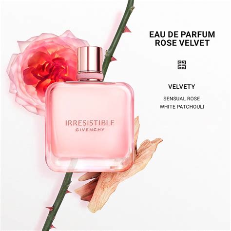 givenchy rose infuse|givenchy rose plant.